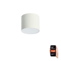Immax NEO 07241L - LED regulējams griestu gaismeklis RONDATE LED/18W/230V 11,5cm Wi-Fi Tuya