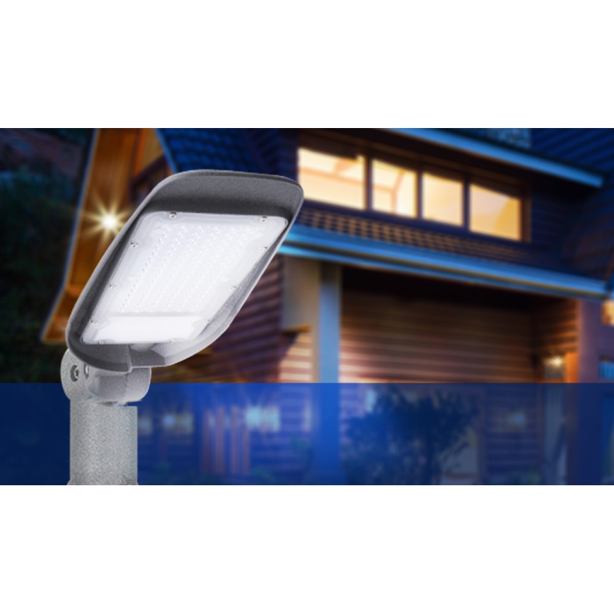 Aigostar - LED Ielas lampa LED/30W/230V 6500K IP65