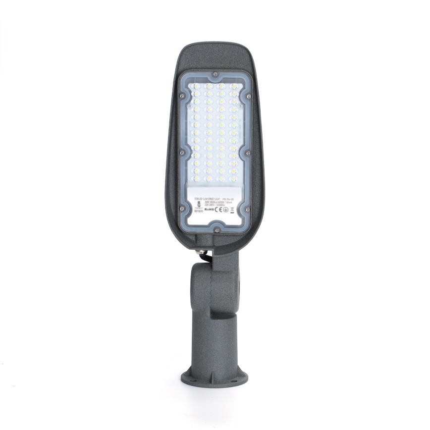 Aigostar - LED Ielas lampa LED/30W/230V 6500K IP65