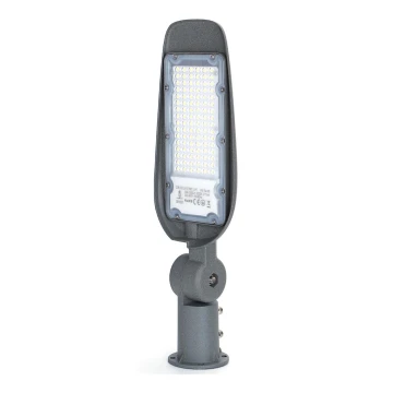 Aigostar - LED Ielas lampa LED/50W/230V 6500K IP65