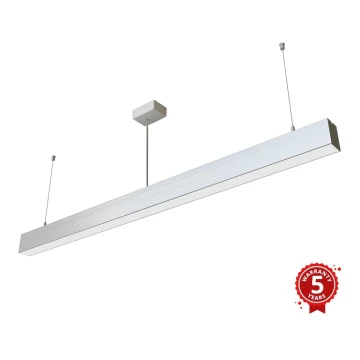 APLED - LED Lustra ar auklu LOOK LED/46W/230V 4000K 120 cm sudraba