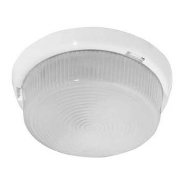 Āra griestu lampa GENTLEMAN 1xE27/100W/230V IP44 balta