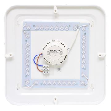 Āra LED griestu gaismeklis LUKA LED/42W/230V IP44