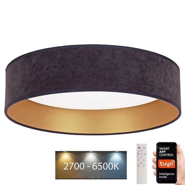 Brilagi - LED Aptumšojama griestu lampa VELVET SMART LED/24W/230V d. 45 cm 2700-6500K Wi-Fi Tuya pelēka/zelta + tālvadības pults