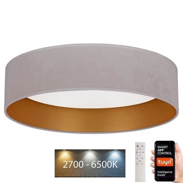 Brilagi - LED Aptumšojama griestu lampa VELVET SMART LED/24W/230V d. 45 cm 2700-6500K Wi-Fi Tuya + tālvadības pults