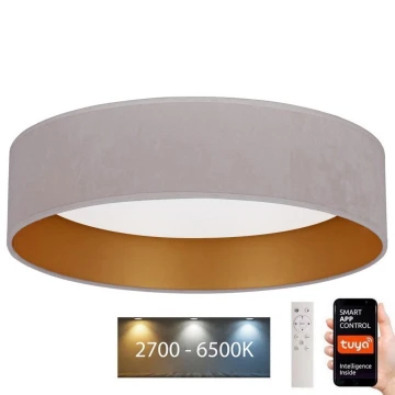 Brilagi - LED Aptumšojama griestu lampa VELVET SMART LED/36W/230V d. 55 cm 2700-6500K Wi-Fi Tuya krēmkrāsa/zelta + tālvadības pults