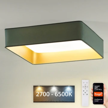 Brilagi - LED Aptumšojama griestu lampa VELVET SQUARE SMART LED/36W/230V 2700-6500K Wi-Fi Tuya + tālvadības pults piparmētru krāsa