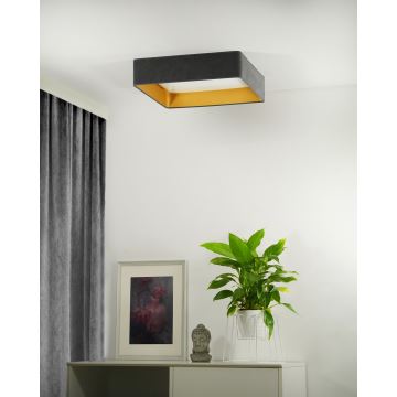 Brilagi - LED Aptumšojama griestu lampa VELVET SQUARE LED/24W/230V 3000/4000/6500K + tālvadības pults pelēka