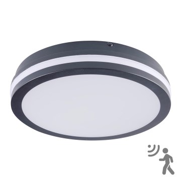 Brilagi - LED Āra lampa ar sensoru BENE LED/24W/230V d. 26 cm antracīta IP54