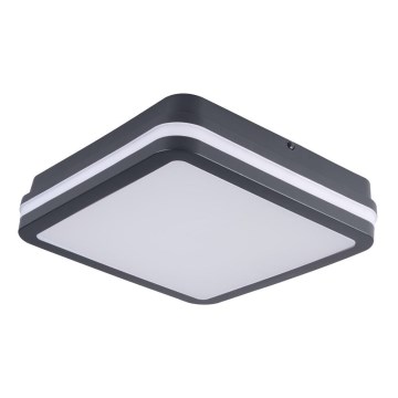 Brilagi - LED Āra lampa BENE LED/18W/230V 22x22 cm antracīta IP54