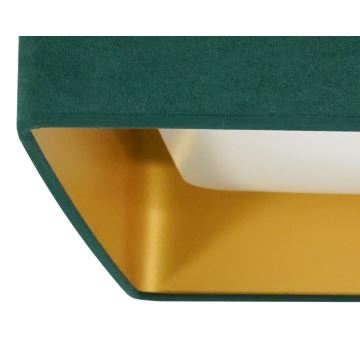 Brilagi - LED Griestu lampa VELVET SQUARE LED/24W/230V zaļa