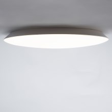 Brilagi - LED Griestu lampa VESTAS LED/45W/230V 3000K IP54