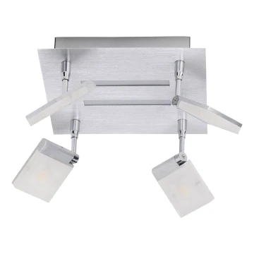 Brilliant - LED lampa PLAXICO 4xLED/6W/230V