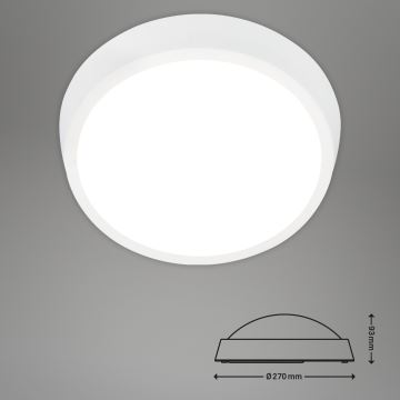 Briloner 3018-016 - LED Āra griestu lampa HAGEN LED/24W/230V 4000K IP44 balta