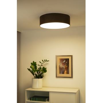 Duolla - LED Griestu lampa CORTINA LED/26W/230V d. 30 cm brūna