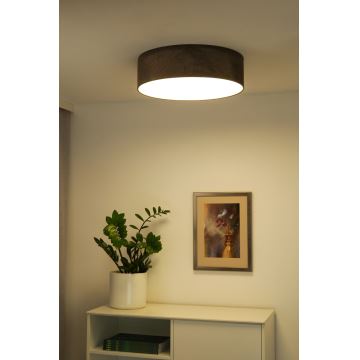 Duolla - LED Griestu lampa CORTINA LED/26W/230V d. 45 cm brūna