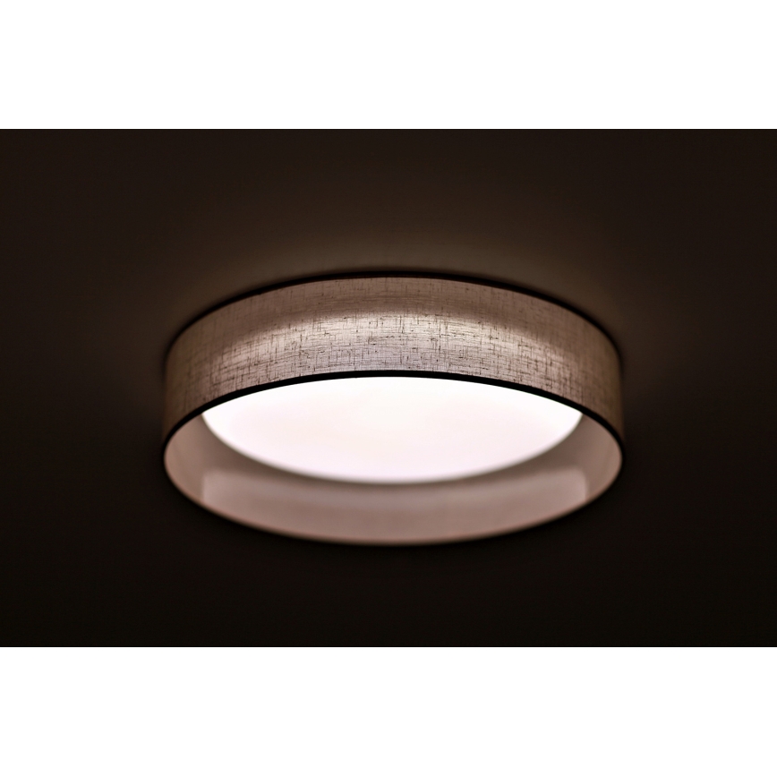 Duolla - LED Griestu lampa ROLLER LED/24W/230V gaiši pelēka