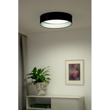 Duolla - LED Griestu lampa ROLLER LED/24W/230V melna/sudraba