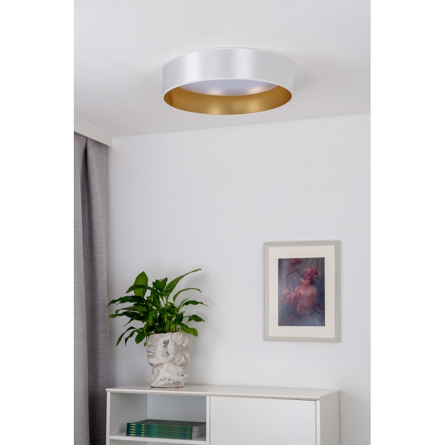 Duolla - LED Griestu lampa ROLLER LED/24W/230V sudraba/zelta