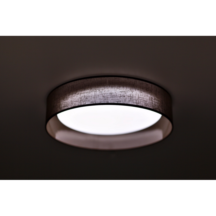 Duolla - LED Griestu lampa ROLLER LED/24W/230V tumši brūna