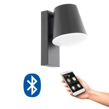 Eglo 33559 - LED Aptumšojama āra sienas lampa CALDIERO-C 1xE27/9W/230V IP44