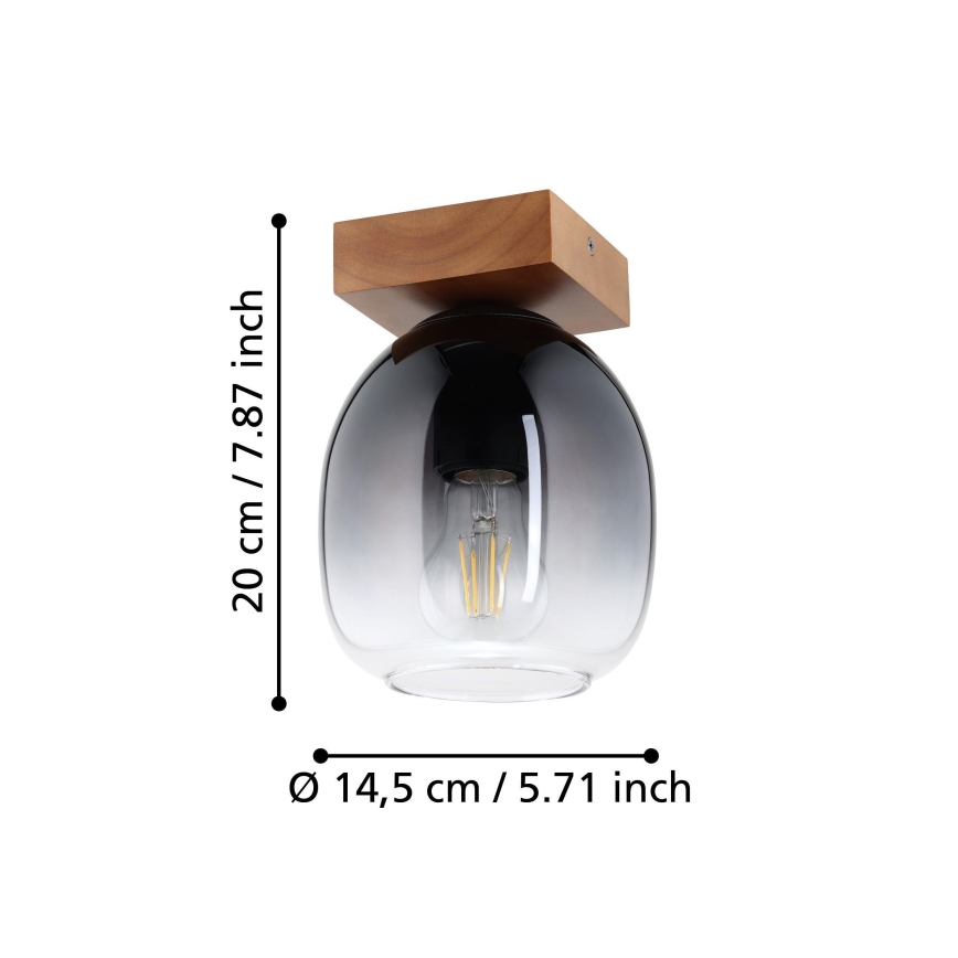 Eglo - Griestu lampa 1xE27/40W/230V