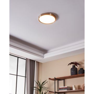 Eglo - LED Aptumšojama vannas istabas griestu lampa LED/19,5W/230V 2700-6500K IP44 ZigBee