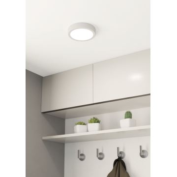 Eglo - LED Griestu gaismeklis LED/10,5W/230V