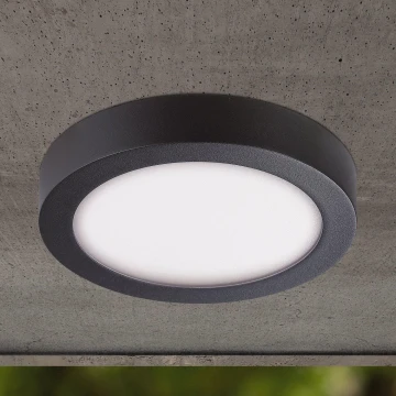 Eglo - Āra LED griestu gaismeklis LED/16,5W/230V IP44