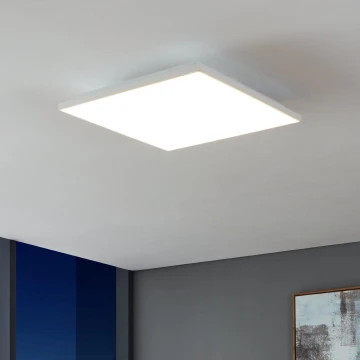 Eglo - LED Griestu lampa LED/21W/230V