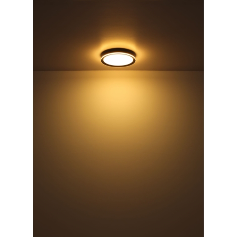 Globo - LED Griestu lampa LED/30W/230V d. 30 cm