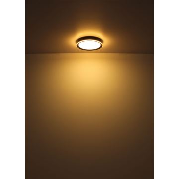 Globo - LED Griestu lampa LED/39W/230V d. 40 cm