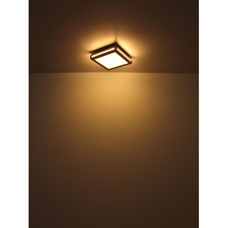 Globo - LED Griestu lampa LED/12W/230V 30x30 cm