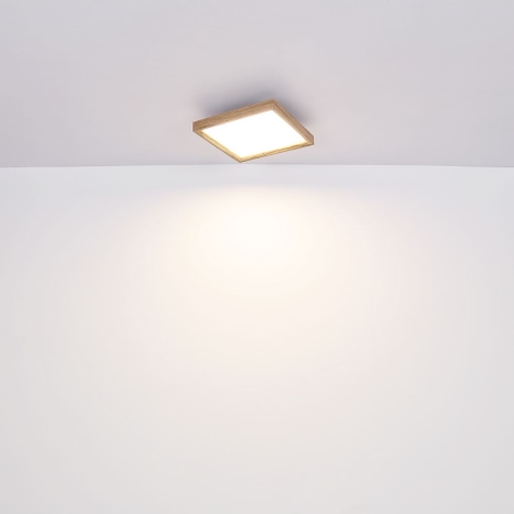 Globo - LED Griestu lampa LED/12W/230V 30 cm 2700/4500/6500K