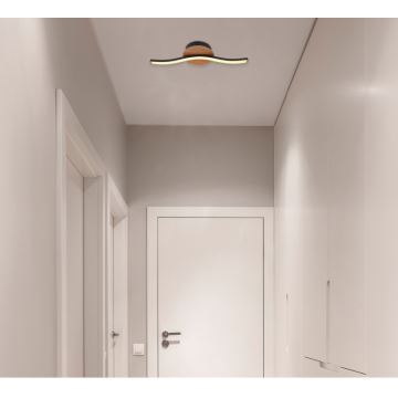 Globo - LED Griestu lampa LED/6W/230V