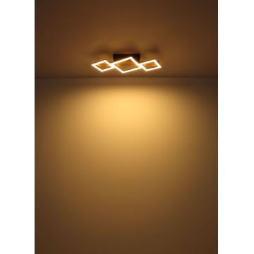 Globo - LED Griestu lampa LED/29W/230V
