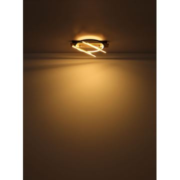 Globo - LED Griestu lampa LED/32W/230V