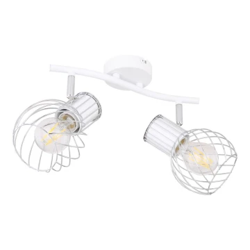 Globo - Lampa 2xE27/40W/230V