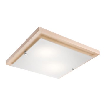 Griestu lampa 2xE27/60W/230V - FSC sertificēts