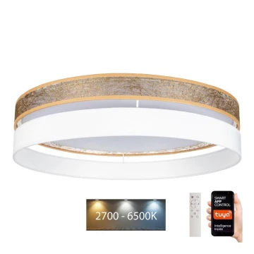 LED Aptumšojama griestu lampa LIMA LED/36W/230V 2700-6500K Wi-Fi Tuya + tālvadības pults balta/zelta