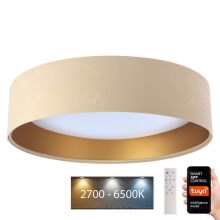 LED Aptumšojama griestu lampa SMART GALAXY LED/36W/230V d. 55 cm 2700-6500K Wi-Fi Tuya bēša/zelta + tālvadības pults