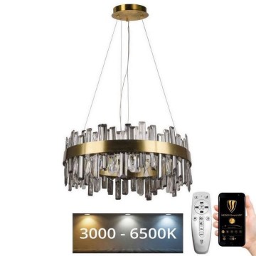 LED Aptumšojama kristāla lustra ar auklu LED/80W/230V 3000-6500K + tālvadības pults