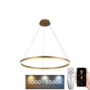 LED Aptumšojama lustra ar auklu LED/55W/230V 3000-6500K + tālvadības pults