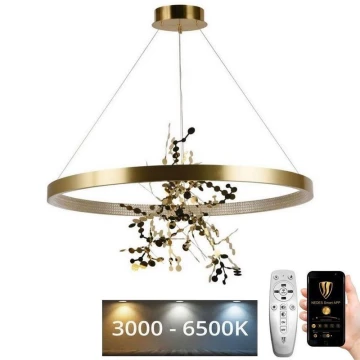 LED Aptumšojama lustra ar auklu LED/55W/230V 3000-6500K zelta + tālvadības pults