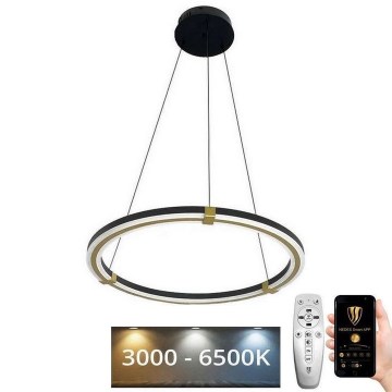 LED Aptumšojama lustra ar auklu LED/75W/230V 3000-6500K + tālvadības pults