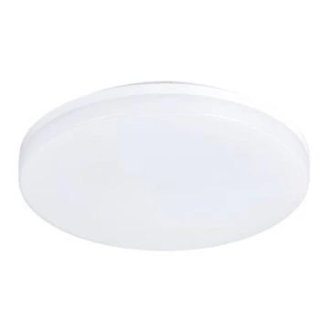 LED Āra griestu gaismeklis LED/15W/230V IP54