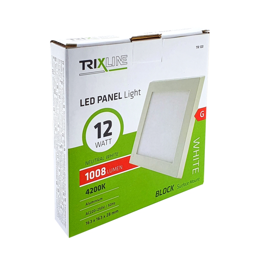 LED griestu gaismeklis LED/12W/230V 4200K