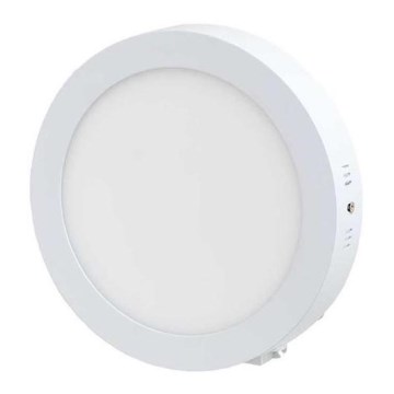 LED griestu gaismeklis LED/12W/230V