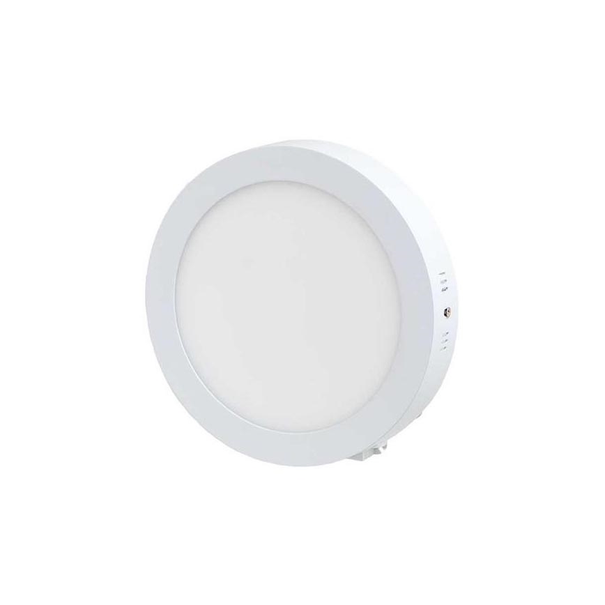 LED griestu gaismeklis LED/12W/230V