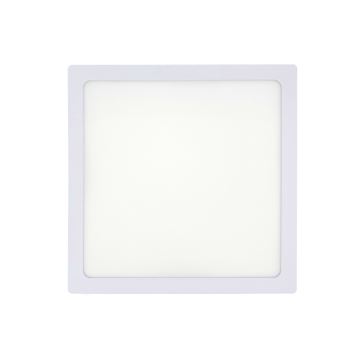 LED griestu gaismeklis LED/18W/230V 2700K